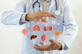 Vieillissement : quel âge ont vraiment vos organes ?