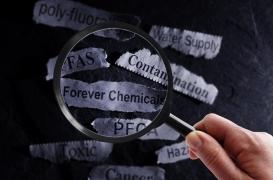 Pays basque espagnol: des polluants éternels retrouvés chez 97 % des enfants