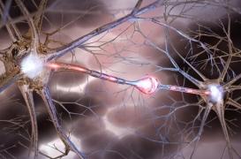 SEP : le risque génétique indépendant de l'origine ethnique