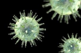Virus Epstein-Barr : la parade aurait été découverte
