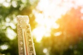 Santé cardiaque : quelle influence des événements climatiques extrêmes ?