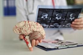 Alzheimer : ces cellules jusqu’ici peu étudiées ouvrent une nouvelle piste pour les patients