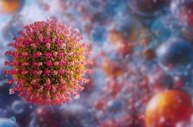 L’OMS veut mobiliser contre l’épidémie de rougeole