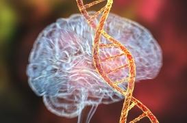 Dépression : la cause génétique se précise