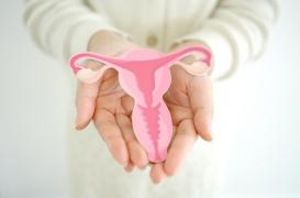 Ménopause précoce : plus de risques chez les femmes souffrant d’endométriose ? 