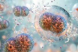 Gonorrhée multirésistance : un nouveau médicament prometteur