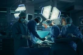 La greffe d’îlots pancréatiques : un espoir pour tous les diabétiques ?