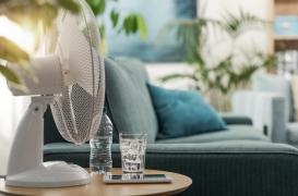 Pic de chaleur : comment garder sa maison au frais 
