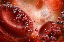 Une “pharmacie vivante” implantée dans votre corps : promesse ou fiction totale ?