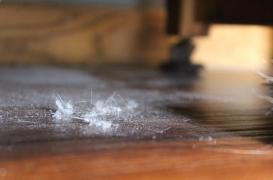 Pesticides : quels sont les produits chimiques les plus détectés dans les logements ? 