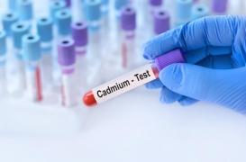 Cadmium : les tests de dépistage seront bientôt remboursés