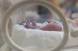 Méningite chez les nouveaux-nés : une technique pour désactiver l’agent pathogène chez la mère 
