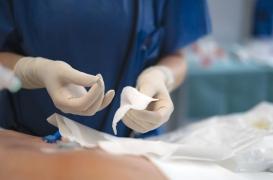 Plaies chroniques : un pansement à base de carapaces de crevettes pour mieux cicatriser ?