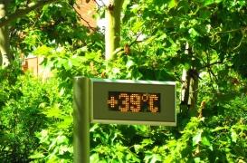 Mortalité : la canicule de juin entre-t-elle dans l'histoire ?