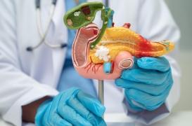 Cancer du pancréas : une nouvelle radiothérapie ciblée prometteuse
