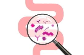 Microbiote : l’importance des 1.000 premiers jours d’un enfant 