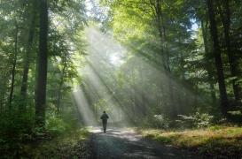 Santé mentale : on sait comment la nature améliore notre bien-être