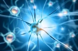 Un réparateur d’ADN pour traiter Alzheimer ?