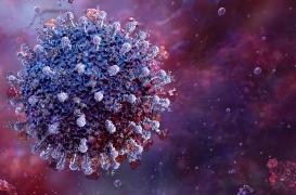 Maladies rénales : cette infection courante augmente fortement les risques