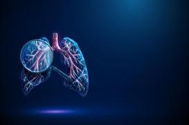 Asthme : comment les crises modifient les tissus des poumons ?