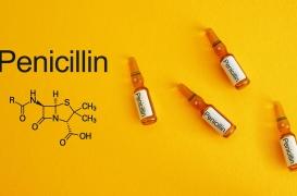 Allergie à la pénicilline : réalité ou simple idée reçue ?
