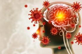 Méningite : une menace ignorée qui continue de faire des centaines de milliers de morts