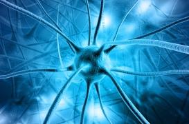 Alzheimer : une protéine pourrait favoriser la propagation de la maladie