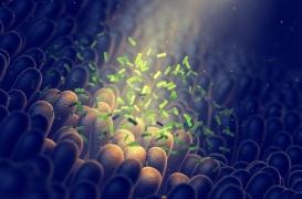 Microbiote : la clé pour détecter les maladies digestives plus tôt ?
