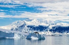 Mélanome : la clé d’un traitement pourrait se cacher dans les fonds de l'Antarctique