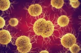 Gonorrhée résistante aux médicaments : une hausse des cas inquiétante en Europe