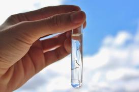 Vietnam : un homme infecté par un ver parasitaire inconnu en Asie