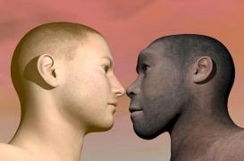 Néandertal avait un gros nez pour se protéger du froid ? Heureusement qu’il n’avait pas que cela !