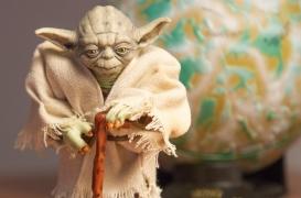 Pour se sentir moins seul, cultivons la sagesse