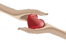 Don d'organes : 6105 greffes ont été réalisées en France en 2017, 19% de plus qu’en 2013