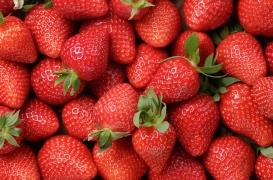 Fraises : 4 raisons d’en manger pendant les beaux jours