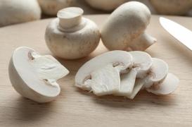 Cancer de la prostate : un composé des champignons de Paris pourrait ralentir sa progression