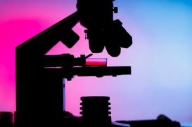 Myélome : la maladie résiduelle minime transforme le traitement 