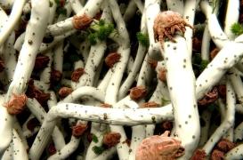 Santé : ce médecin explique pourquoi il ne faut pas faire son lit le matin