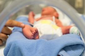 Un nourrisson de 2 mois sauvé grâce à une transplantation cardiaque