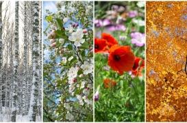 Le mois de naissance peut jouer un rôle sur la mortalité