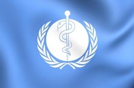 Epidémie de coronavirus : l'OMS décrète l'urgence internationale 