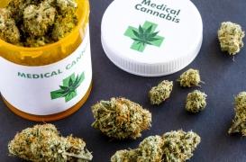 Cannabis thérapeutique : qui va fournir les 3 000 patients français ?