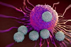Cancer : les cellules immunitaires modifiées pour combattre les tumeurs