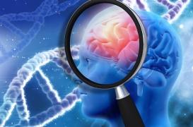 Des scientifiques ont découvert le gène protecteur d'Alzheimer