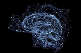 Obésité et perte de poids : comment aider le cerveau à combattre les hormones du stress ?