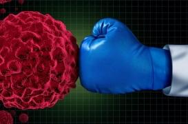 Lupus : un traitement ciblé est très prometteur et déjà disponible