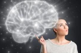 Que se passe-t-il dans le cerveau des femmes lorsqu’elles ont leurs règles ?