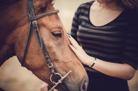 Equicoaching : “La relation avec le cheval devient le miroir de notre comportement”