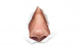 La maladie de Parkinson naîtrait dans notre nez