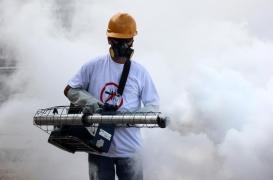 Dengue: un nouveau cas à Balma, en banlieue de Toulouse, déclenche une opération de démoustication